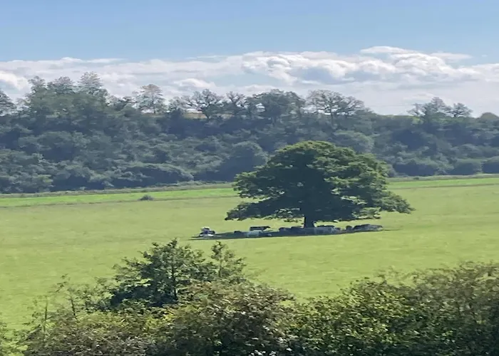 Le Beau Souvenir, * Noiseux