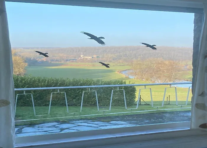 Le Beau Souvenir, * Noiseux