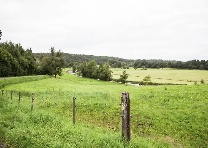 Le Beau Souvenir, Noiseux