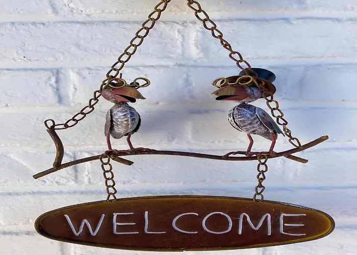 Le Beau Souvenir, Noiseux